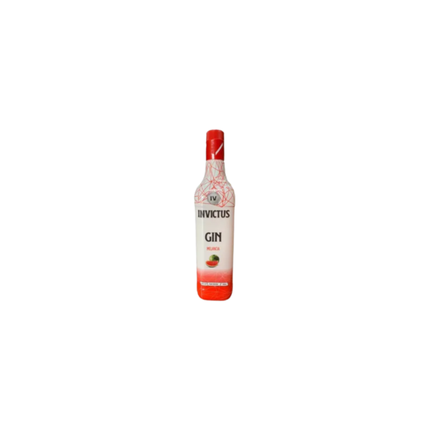 gin invictus melancia 1 litro